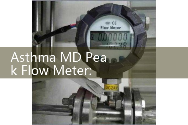 Asthma MD Peak Flow Meter: Smartphone Application Sync Expiratory Tools